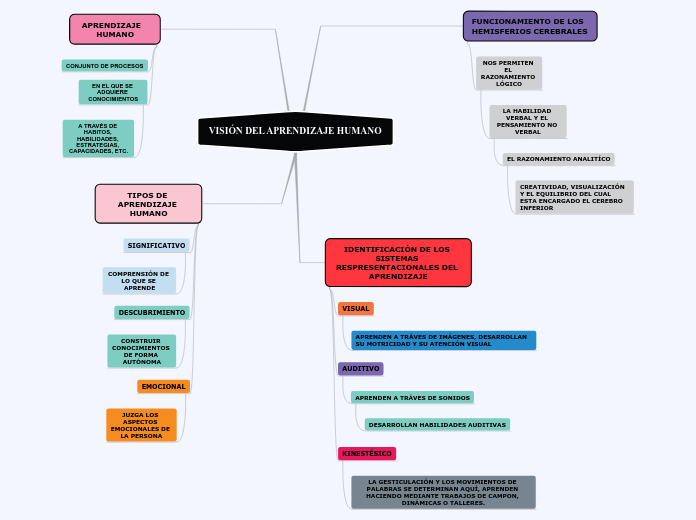 VISIÓN DEL APRENDIZAJE HUMANO