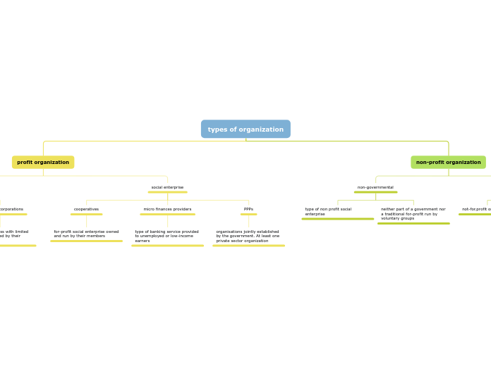 types of organization