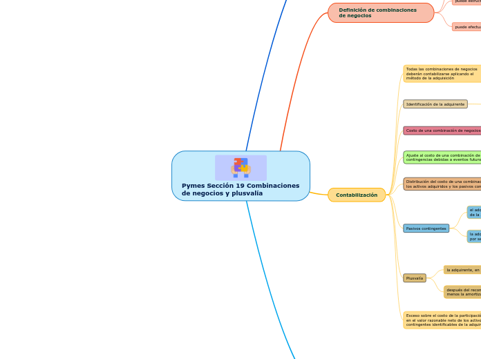 Pymes Sección 19 Combinaciones de negocios y plusvalía