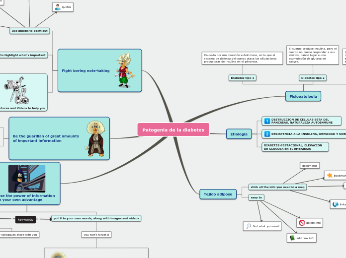 Sample Mind Map