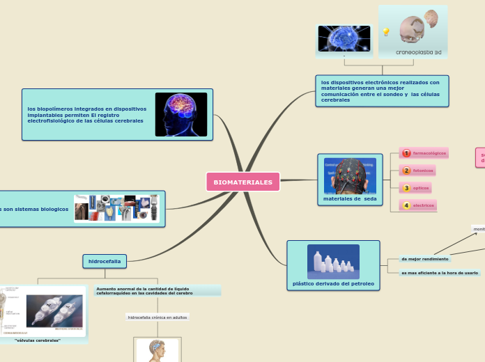 Sample Mind Map