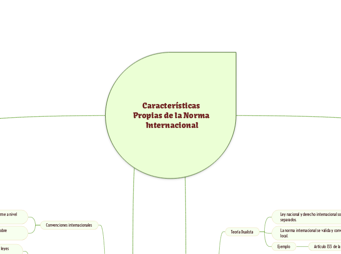 Características Propias de la Norma Internacional