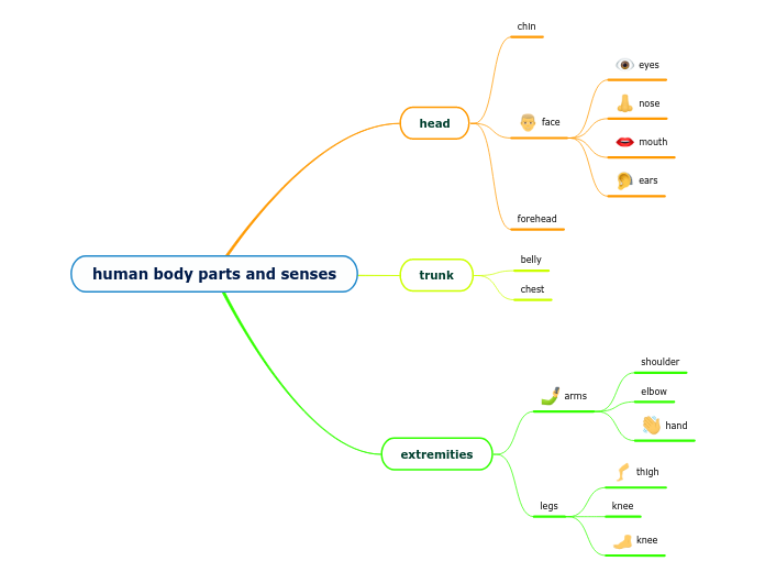 human body parts and senses