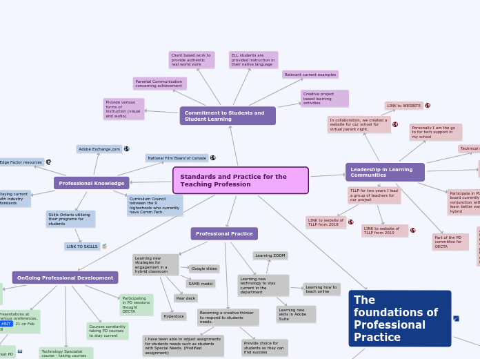 Standards and Practice for the Teaching Profession