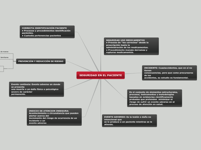 SEGURIDAD EN EL PACIENTE