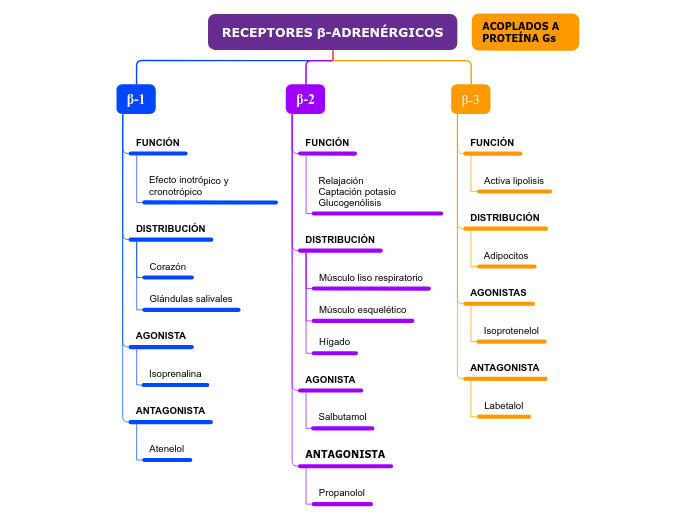 Organigrama arbol