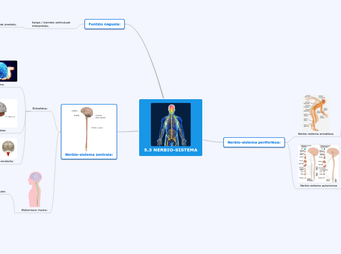 5.3 NERBIO-SISTEMA