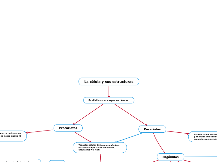 La célula y sus estructuras