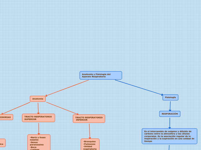 Anatomia y Fisiologia del Aparato Respiratorio