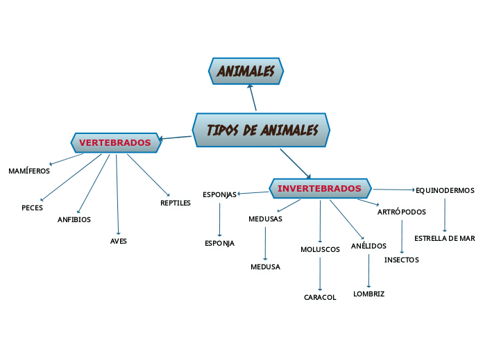 TIPOS DE ANIMALES