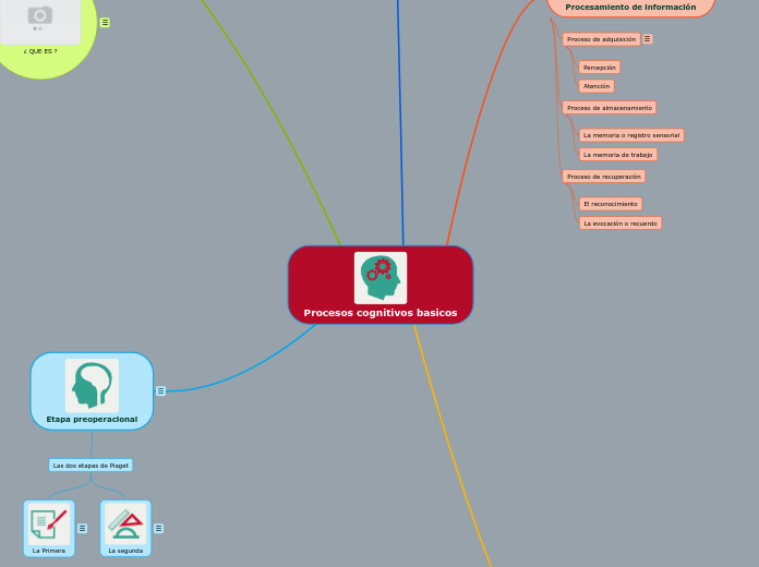 Procesos cognitivos basicos