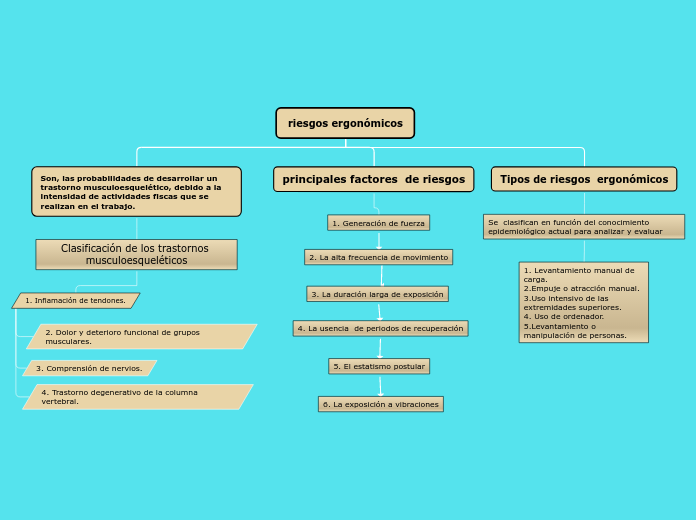 RIESGOS ERGONOMICOS