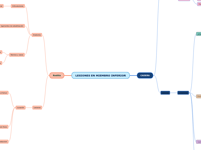 LESIONES EN MIEMBRO INFERIOR