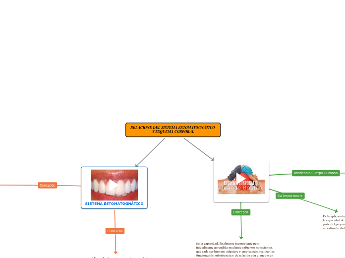 RELACIONE DEL SISTEMA ESTOMATOGNÁTICO Y ESQUEMA CORPORAL
