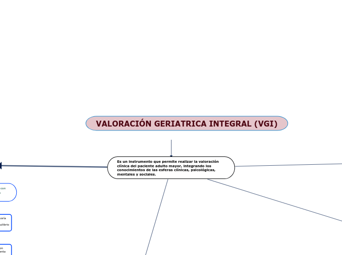 VALORACIÓN GERIATRICA INTEGRAL (VGI)