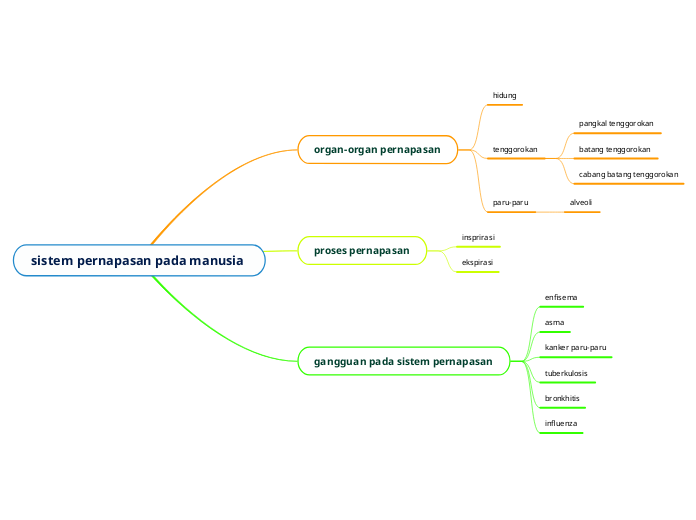 sistem pernapasan pada manusia 