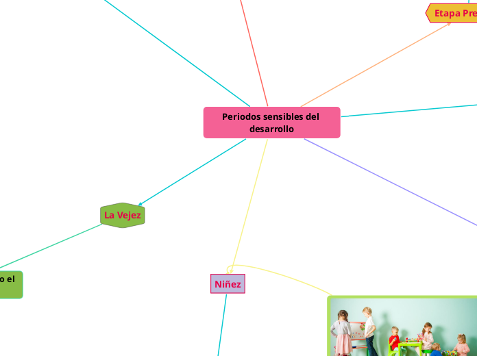 Periodos sensibles del desarrollo