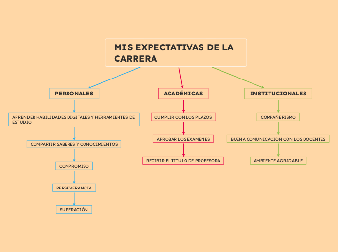 MIS EXPECTATIVAS DE LA CARRERA