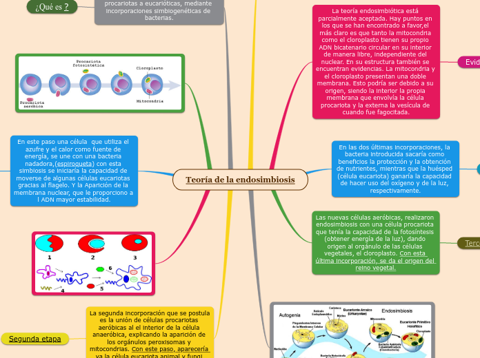 Teoría de la endosimbiosis