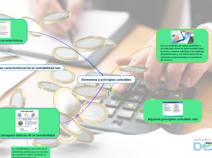 Elementos y principios contables