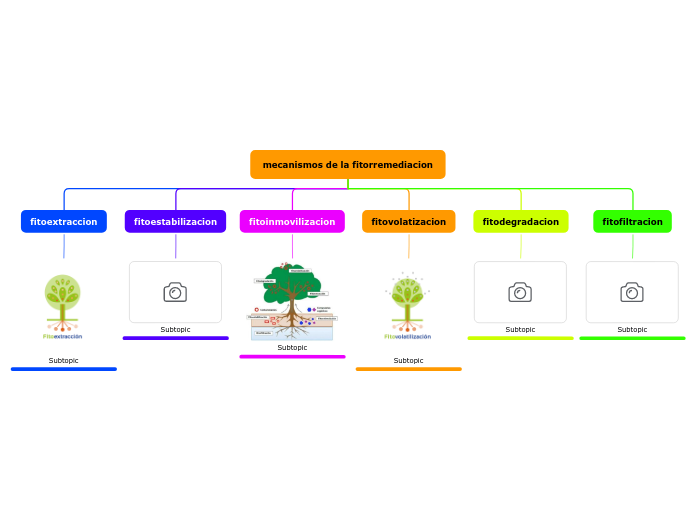 mecanismos de la fitorremediacion