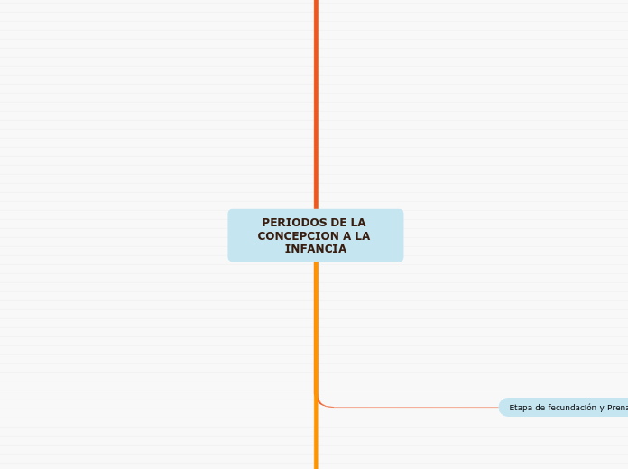 PERIODOS DE LA CONCEPCION A LA INFANCIA