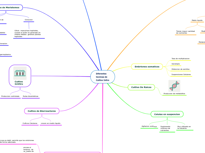 Diferentes tecnicas de Cultivo Ivitro