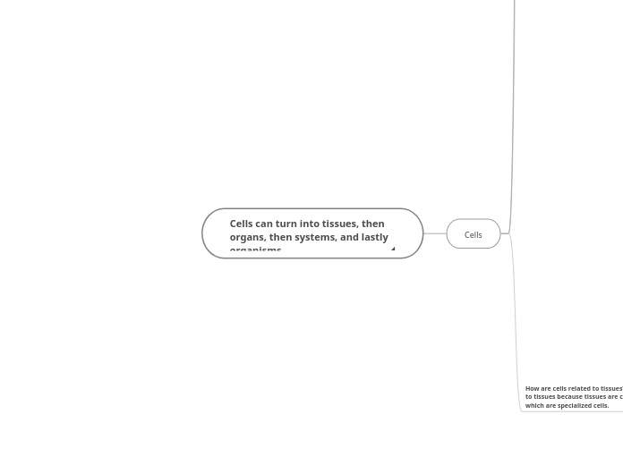 Mind Map Assignment-Cells, Tissues, Organs, and Systems