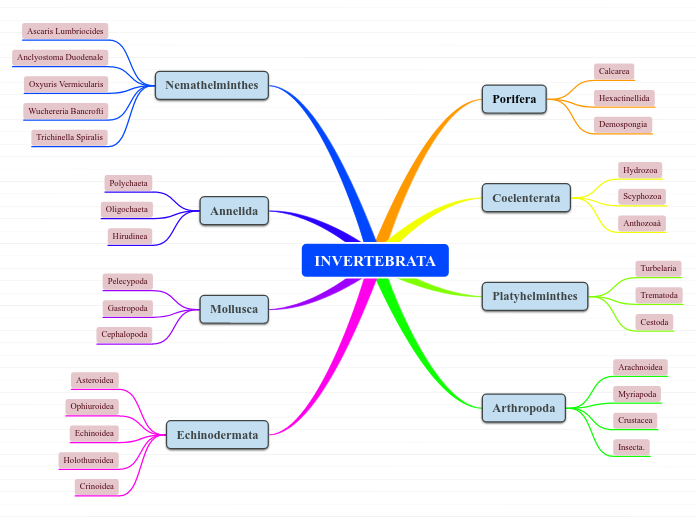 INVERTEBRATA