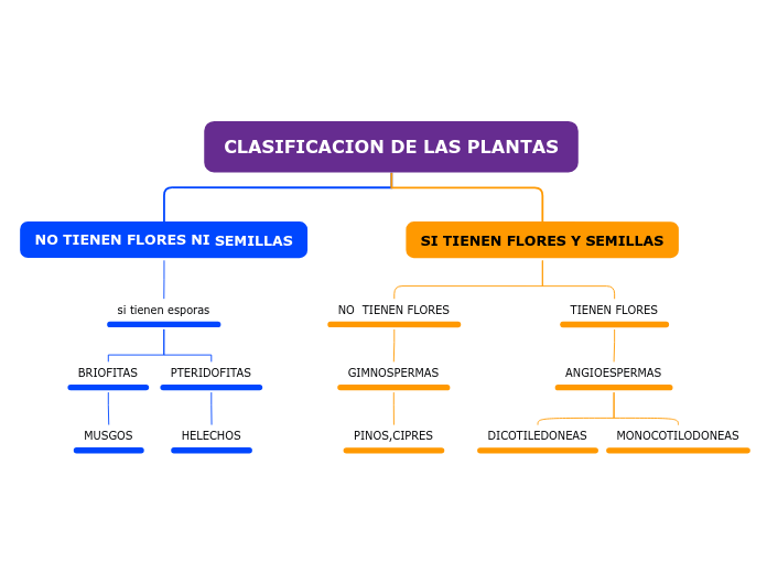 CLASIFICACION DE LAS PLANTAS