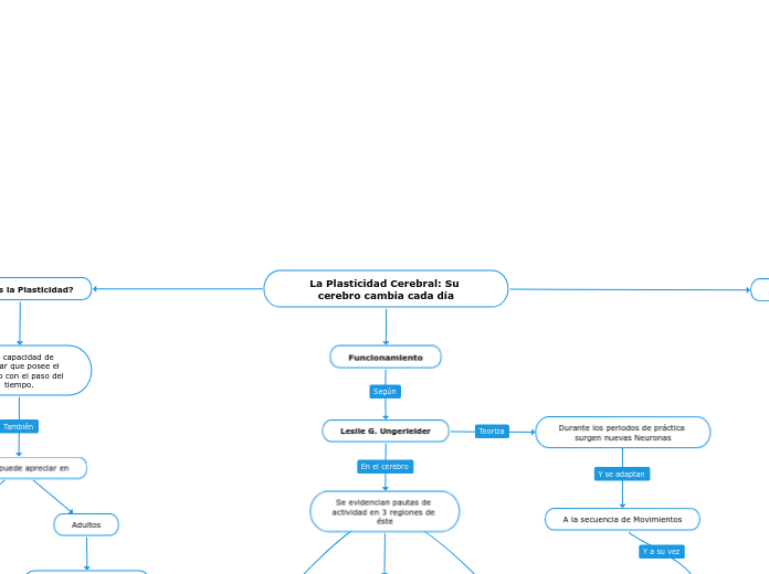 La Plasticidad Cerebral: Su cerebro cambia cada día
