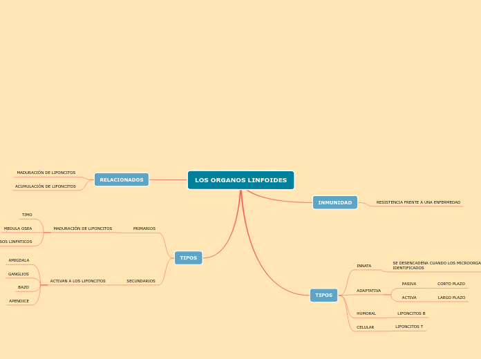 LOS ORGANOS LINFOIDES