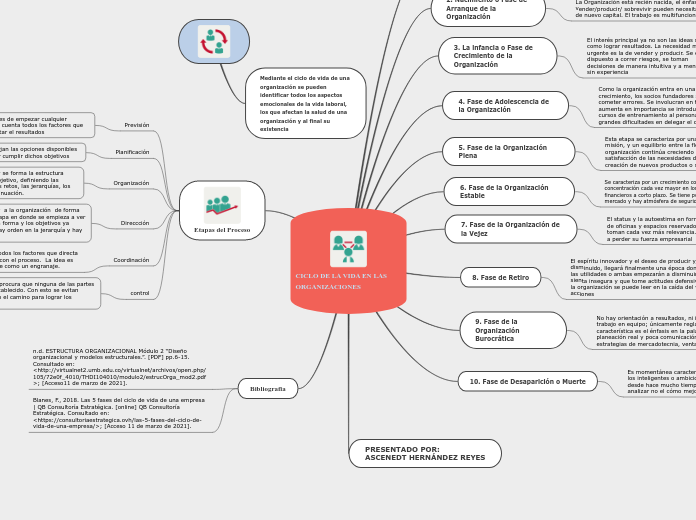 CICLO DE LA VIDA EN LAS ORGANIZACIONES