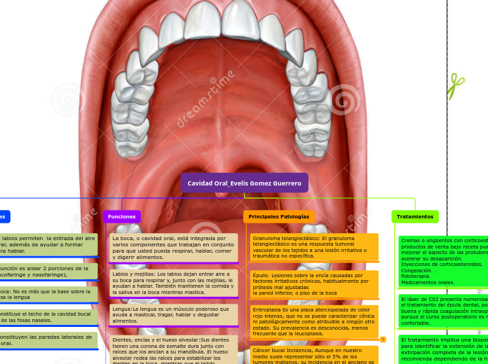 Cavidad Oral_Evelis Gomez Guerrero