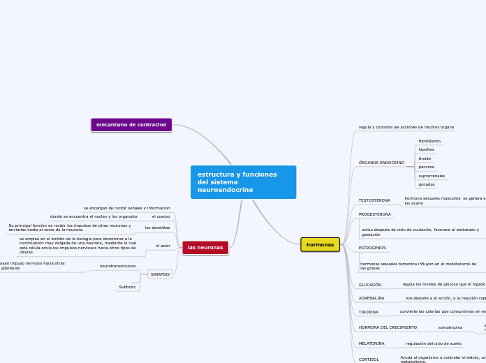 estructura y funciones del sistema neuroendocrino