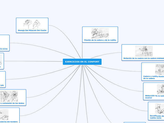 EJERCICIOS EN EL CONFORT