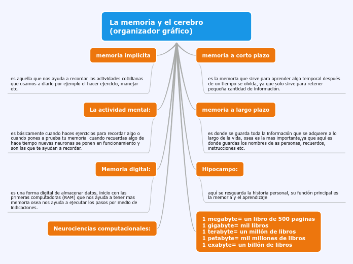 La memoria y el cerebro (organizador gráfico)