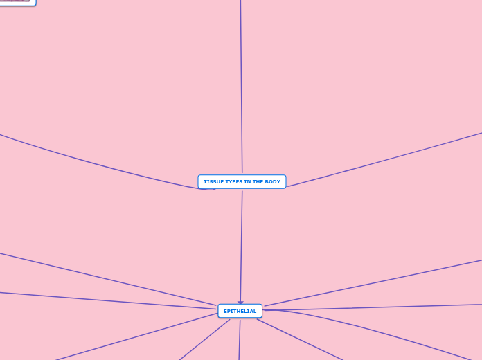 TISSUE TYPES IN THE BODY