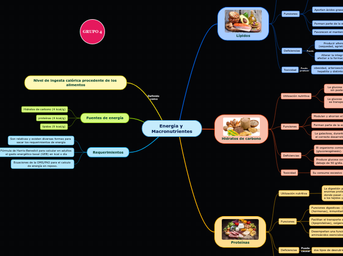 Energia y Macronutrientes