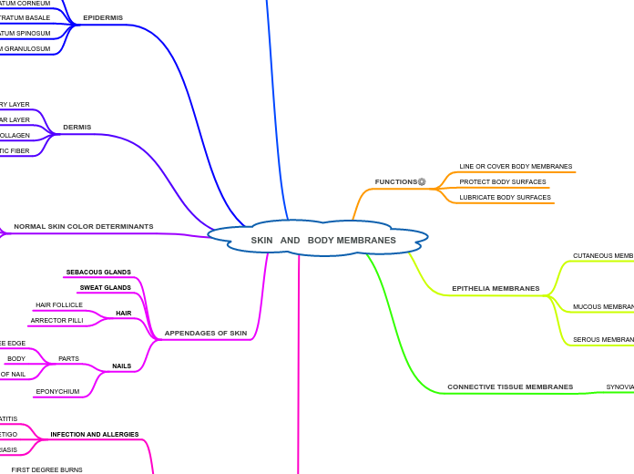 SKIN   AND   BODY MEMBRANES