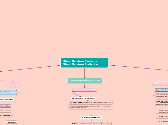 Stma. Nervioso Central y Stma. Nervioso Periférico.
