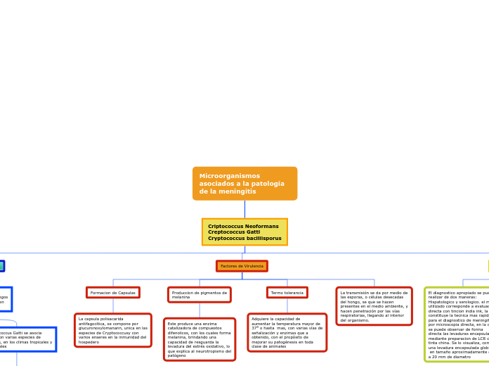 Microorganismos asociados a la patología de la meningitis