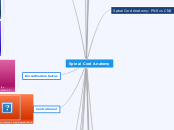 Spinal Cord Anatomy