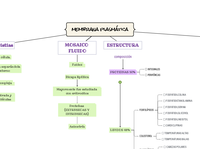 membrana plasmática