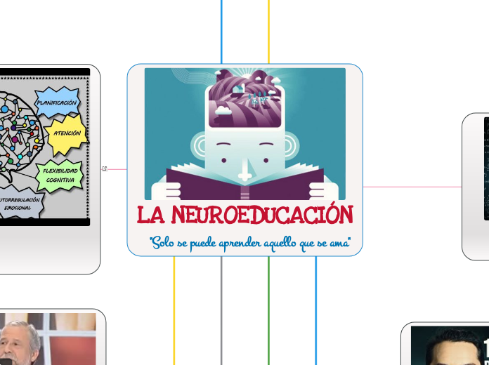 LA NEUROEDUCACIÓN
  "Solo se puede aprender aquello que se ama"