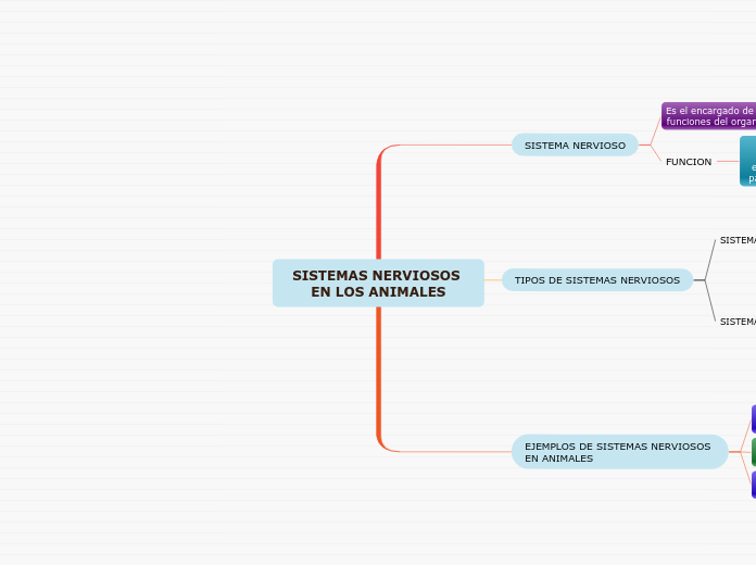 SISTEMAS NERVIOSOS EN LOS ANIMALES