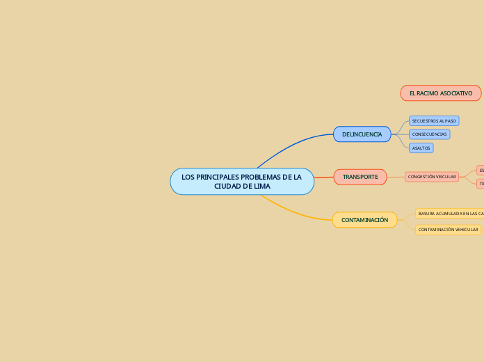 LOS PRINCIPALES PROBLEMAS DE LA CIUDAD DE LIMA