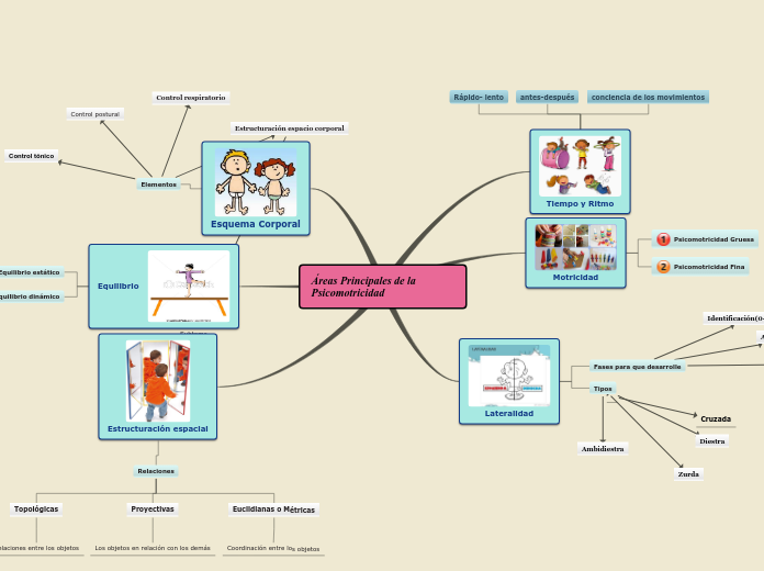 Áreas Principales de la Psicomotricidad