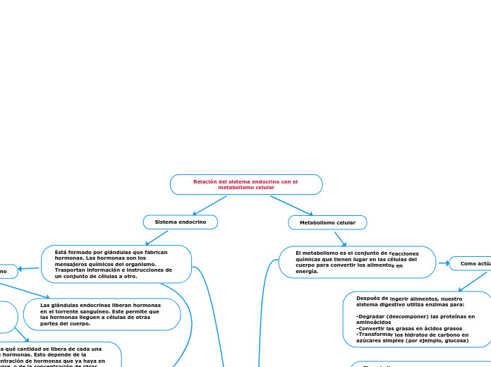 Relación del sistema endocrino con el metabolismo celular
