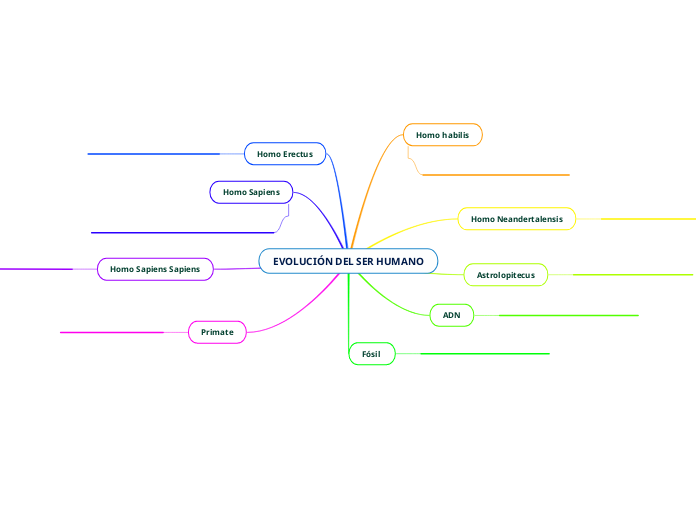 EVOLUCIÓN DEL SER HUMANO